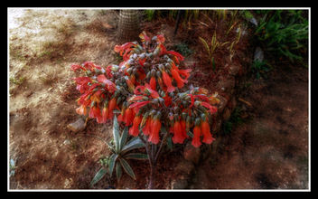 Durban, South Africa - Free image #320885
